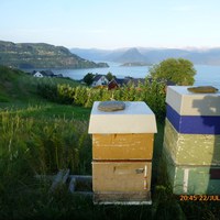 ein tidlegare bigardpå Børve i Øystese