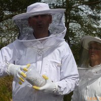 Bier blir vendt i melis