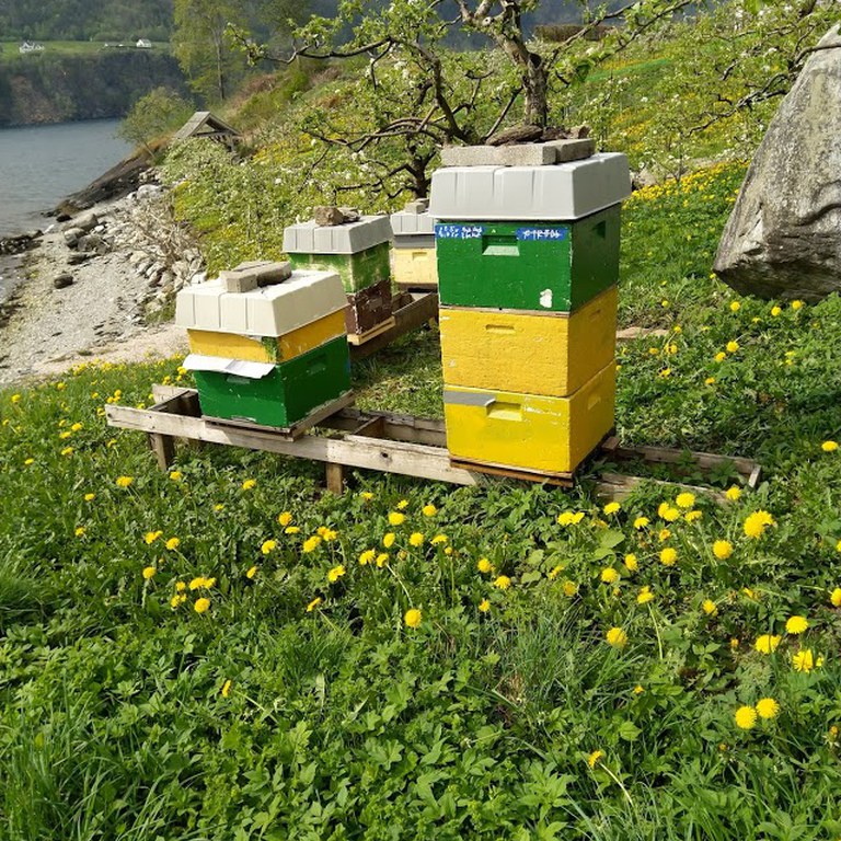 Todronningkube på Steinstø