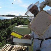 Alf Helge  held ei flott lynghonningtavle