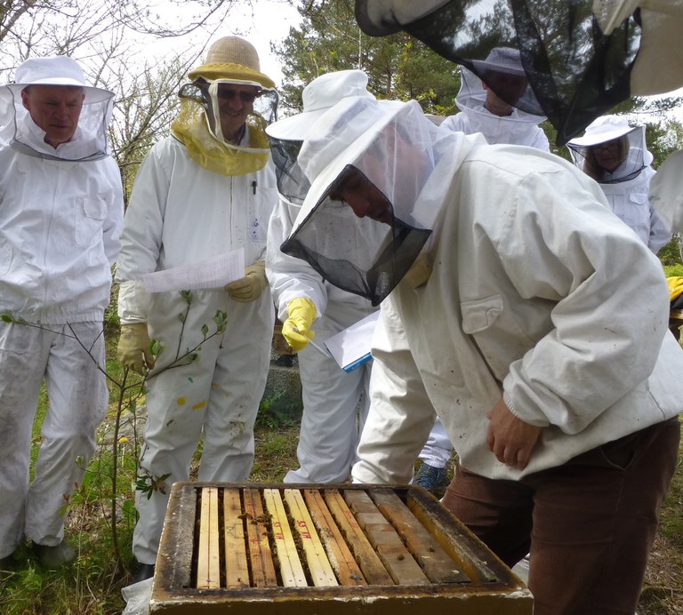 Tesvertkurs tavlefasthet