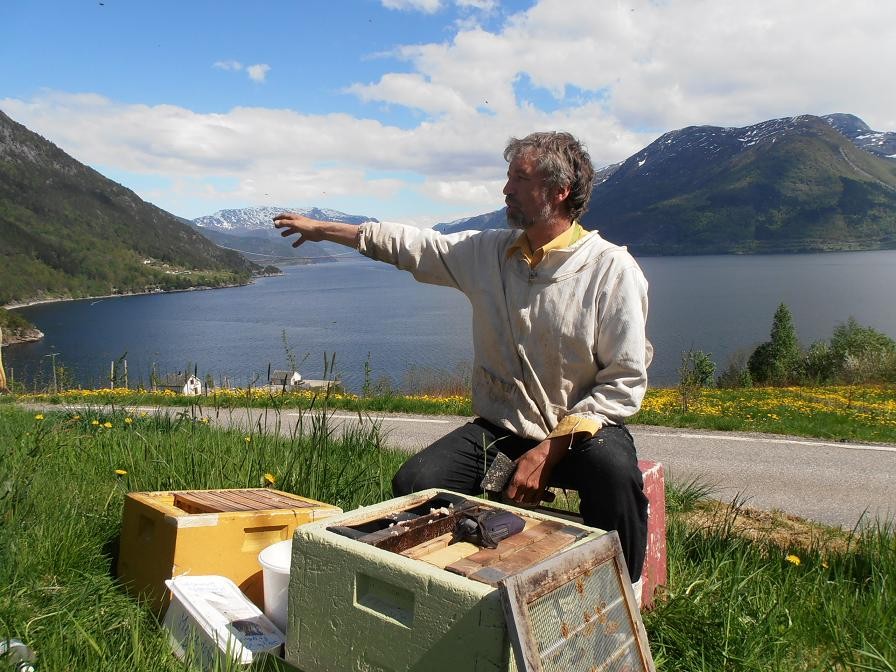 Alf Helge forteller om pollineringsbirøktr om