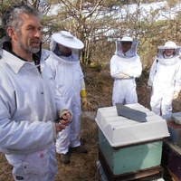 Praksis i bigarden på Milde