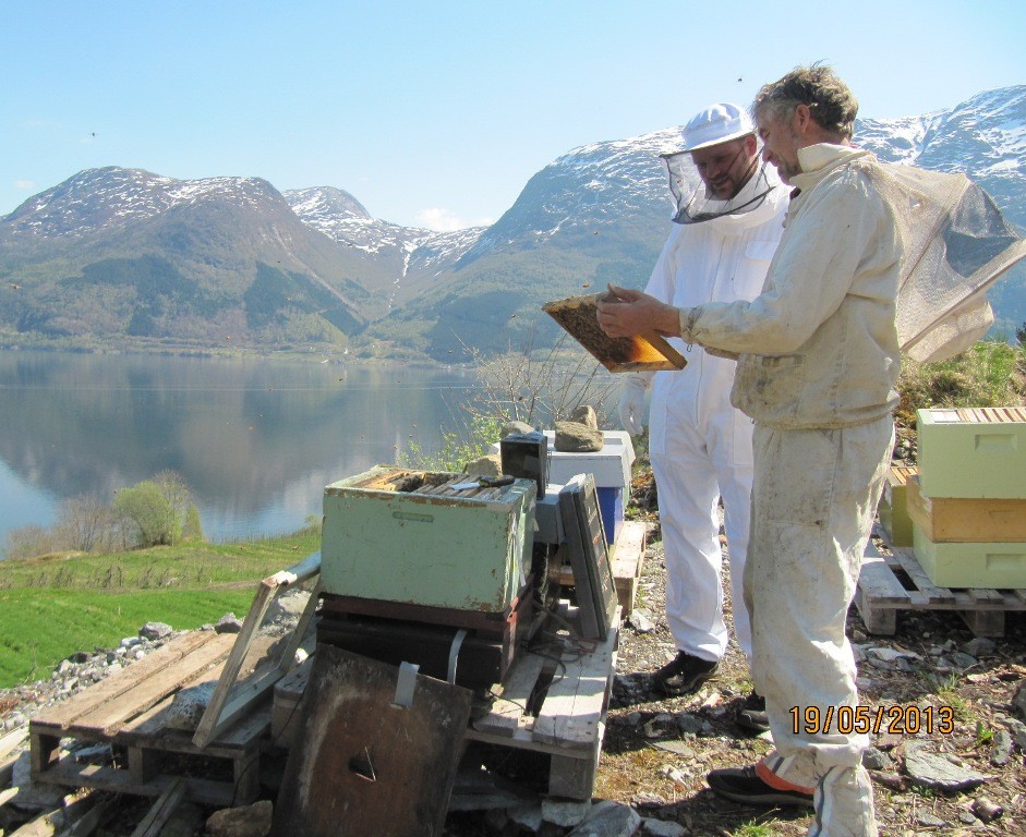 Alf Helge viser yngelramme til Svein Helge Ovrid på Djønno