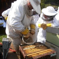 Masksukker-påfylling