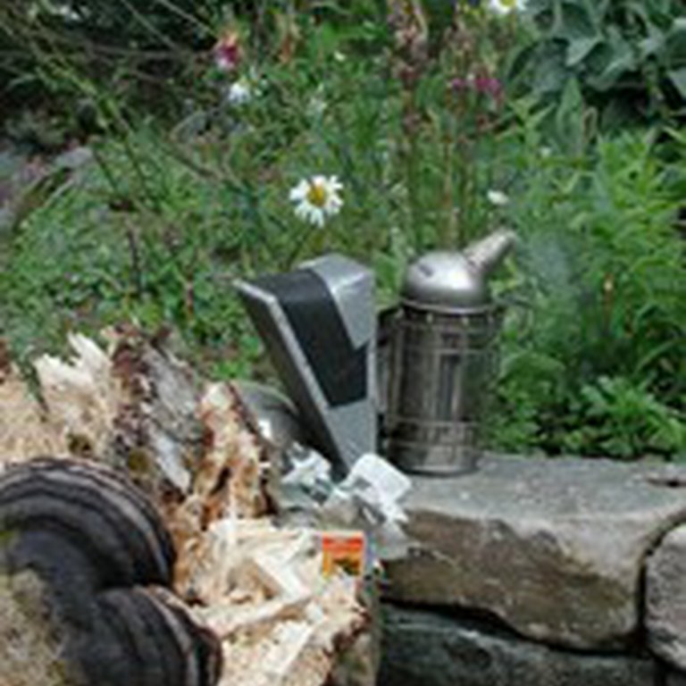 Brensel i røykpuster av morken ved.