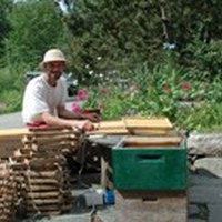 Nye rammer i tropevarme