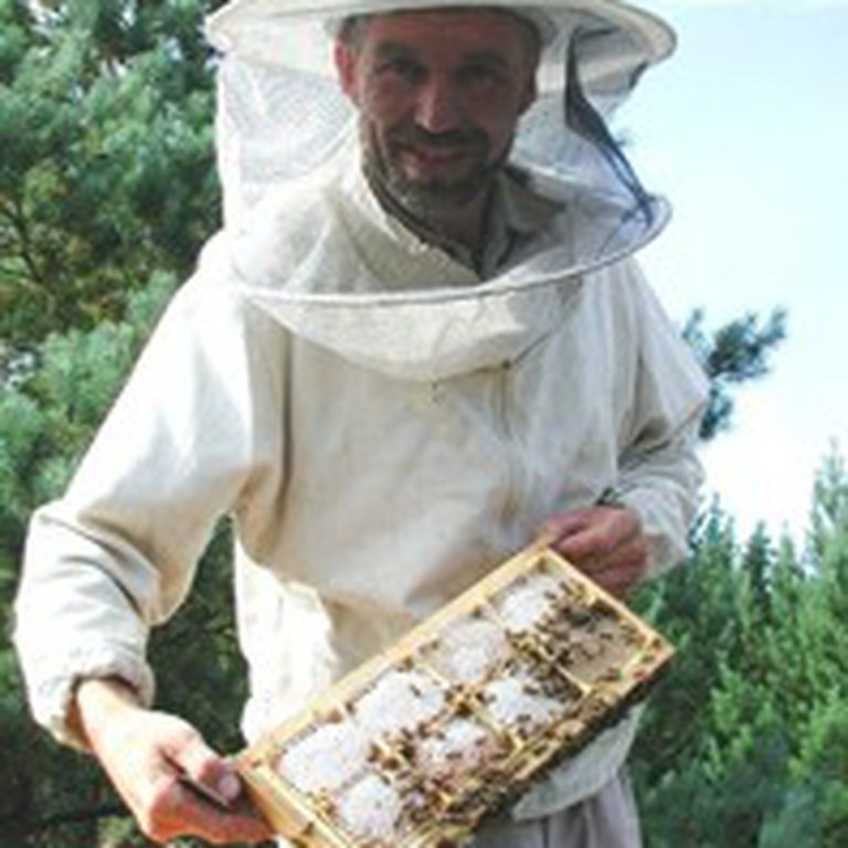 Birøktar Alf Helge med tavlehonning bygd i små seksjoner.