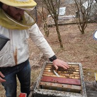 varme frå Yngelleie