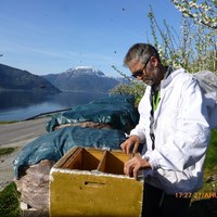 dobbel 22 dronningskube ahs