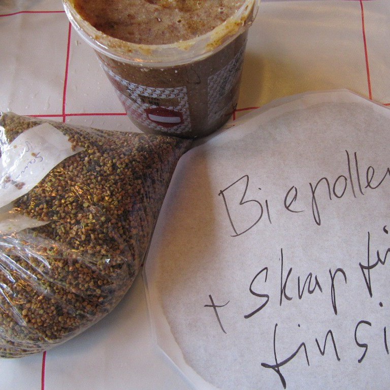 Eigen hausta pollen og silskrap