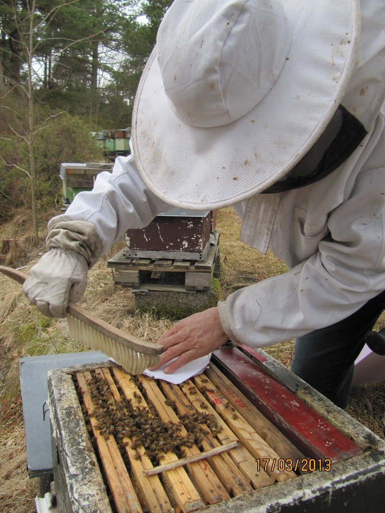 forsiktig skyve på pollenet