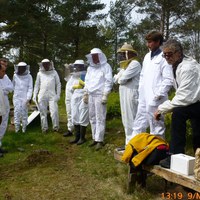Tesvertkurs Søylands Biegard