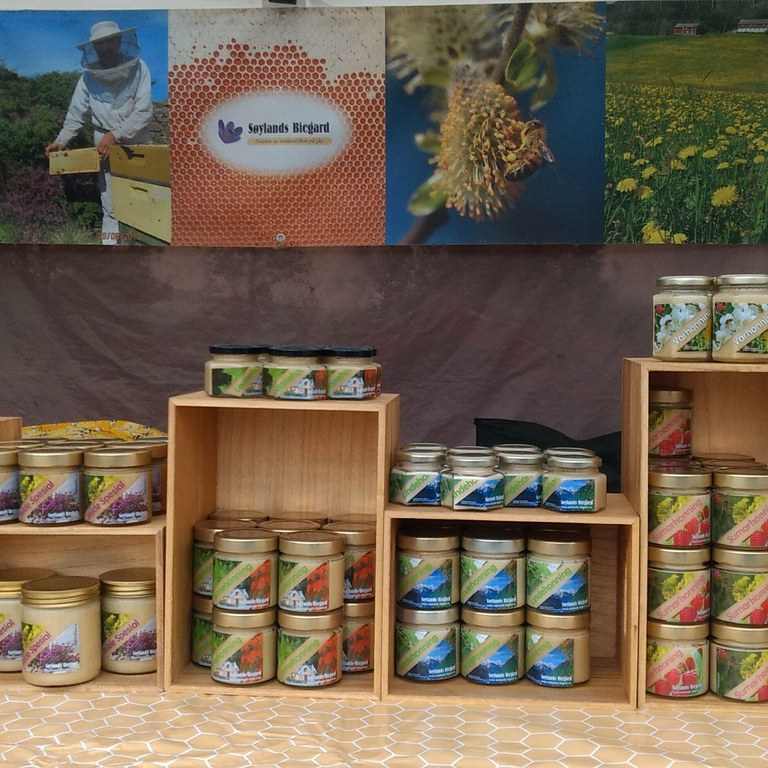 Honningbua vår , mars 2020