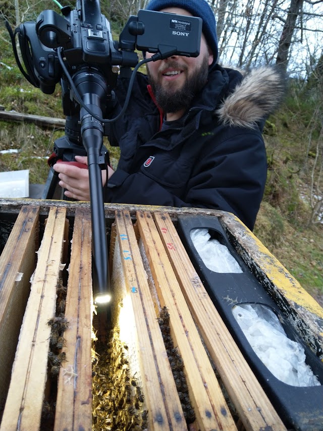 Filming av ein bieklase på vinteren til Snowhow