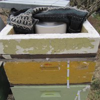 isolering  av forkar