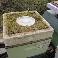 Tørr mose til isolering