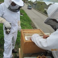 Isoporkassetter som bygger 3 rammer har plass til mykje masksukker