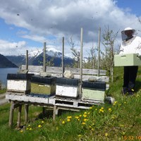 kassepåsett på Urheim