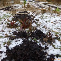 Kukonger til gjødsel