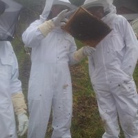 sjekk av egg og yngel