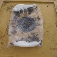 nesten oppeten Apifonda