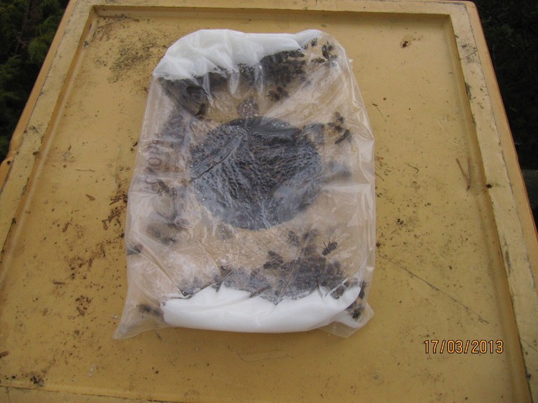 nesten oppeten Apifonda