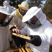 nina kikker på ramme