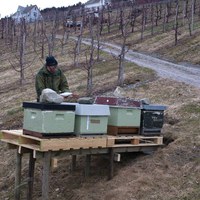 Palle for kuber hjå Asblørn Lutro