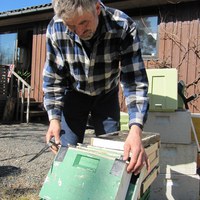 Pakkvegger av kasser