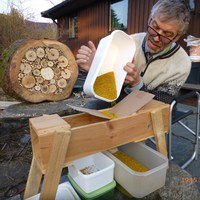 luftreinsking av pollen