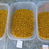 3 prøver a 20gram frå fyrste prøvetaking