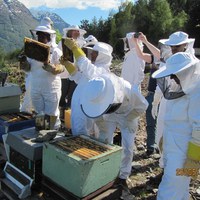 Kontroll av yngelrom