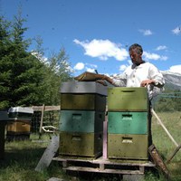 Stell av bier ved Tvildemoen  på Voss