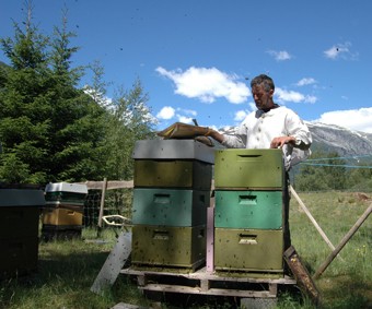 Stell av bier ved Tvildemoen  på Voss