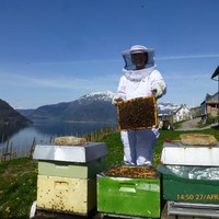 halvkasser på Ystanes