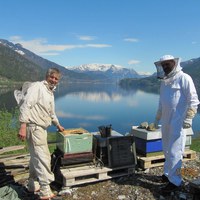 Tid for ny kasse til kuba på vekta