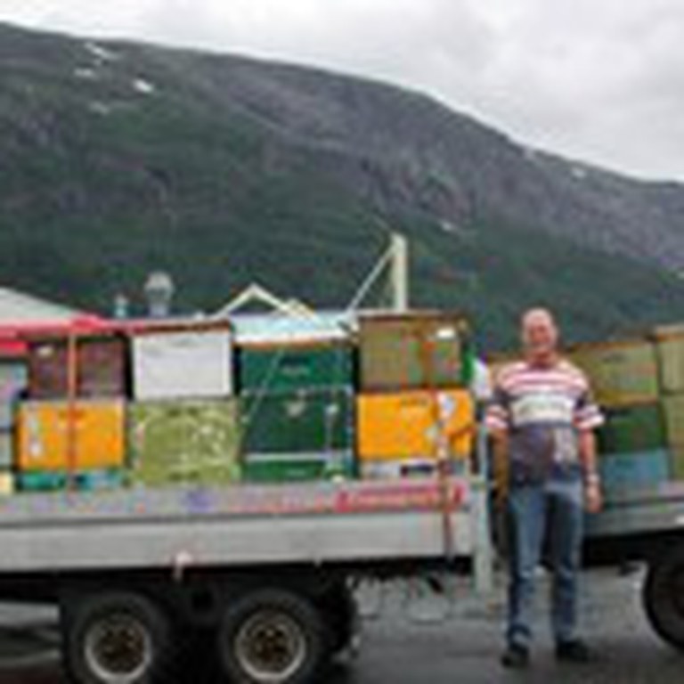 Vandring til eller frå Voss