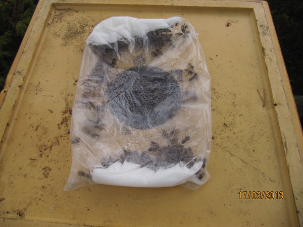 Pass på lette kuber