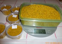 Rekordvarm marsdag  og tidleg pollentrekk