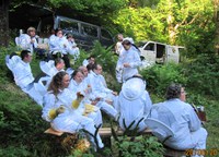 Sommerstell på Åstveit