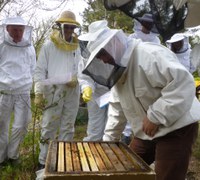 Testvertkurs i Søylands biegard på Store Milde