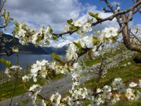 Vekta montert på kube i Hardanger
