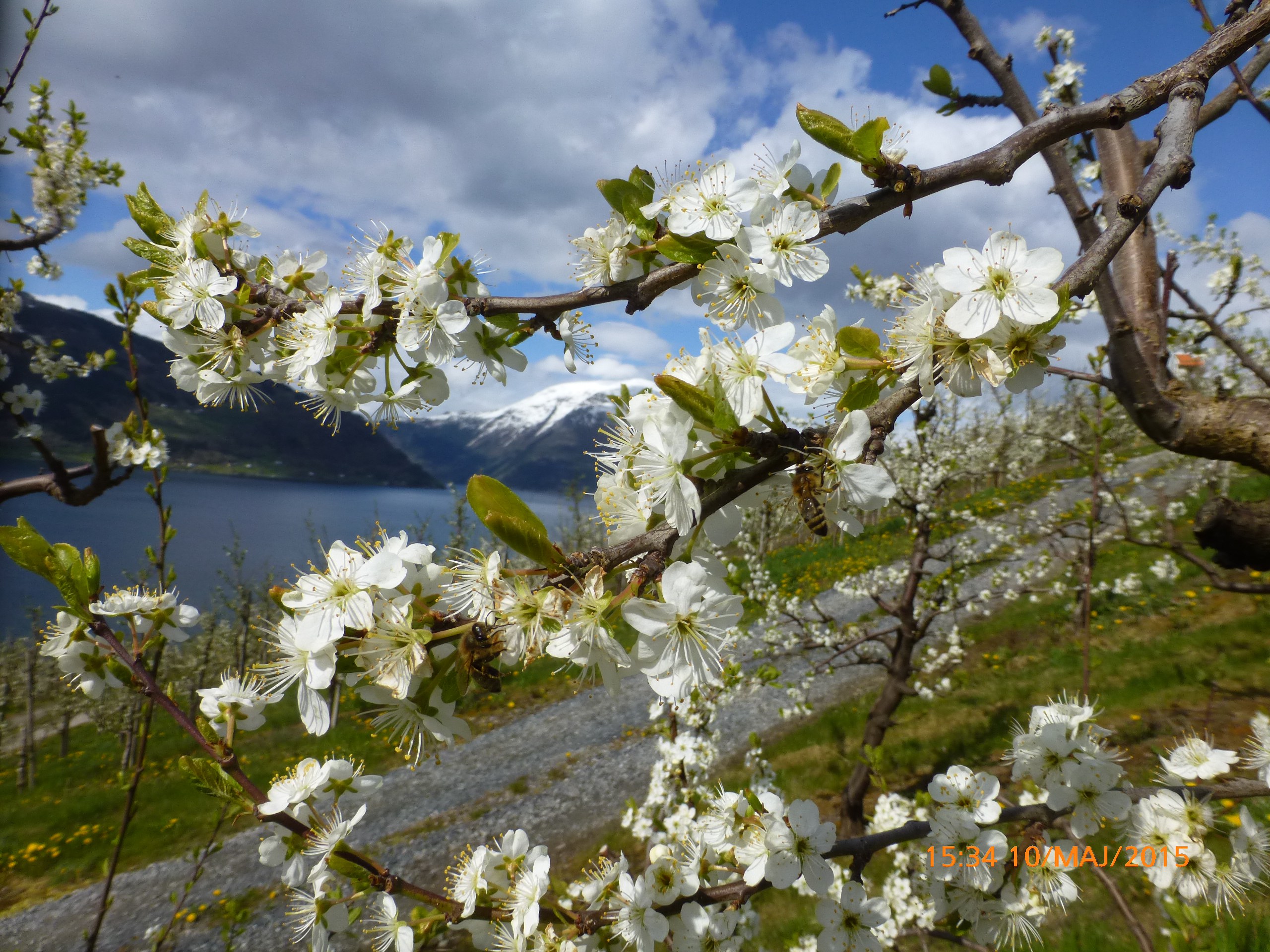 Vekta montert på kube i Hardanger Vekta montert på kube i Hardanger